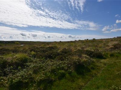 Picture 60